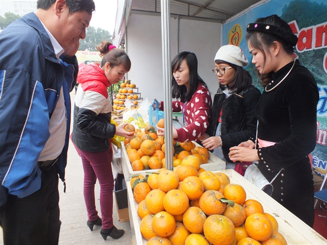 เขตตะวันตกเฉียงเหนือผลักดันความเชื่อมโยงและพัฒนาชนบท